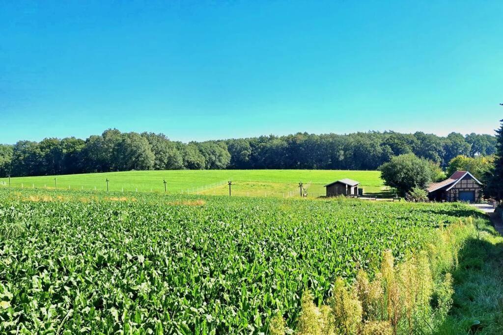 Das Bergherz Ruhe + Natur Pur Reken Zewnętrze zdjęcie